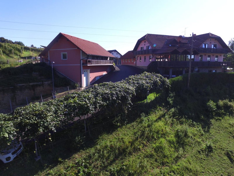 Guesthouse Kaučič, Benedikt v Slovenskih Goricah, Slovenia