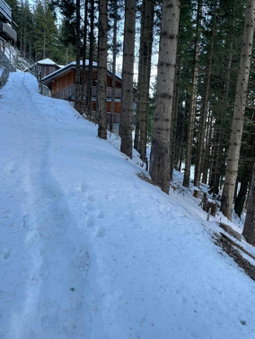 Apartma Med smrekami Golte, Mozirje, Slovenia