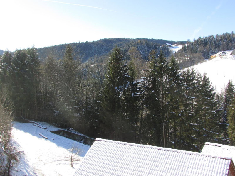 Turistična Kmetija Lipnik, Lovrenc na Pohorju, Slovénie