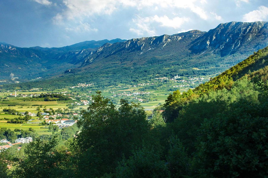 Farm Stay Ferjančič, Vipava, Slovénie