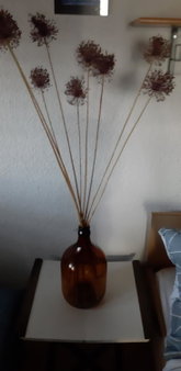 Bamboo apartman, Portorož, Slovenia
