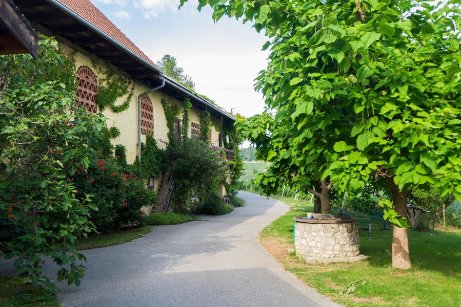 Turistična kmetija Vrezner Apartment, Maribor, Slovenia
