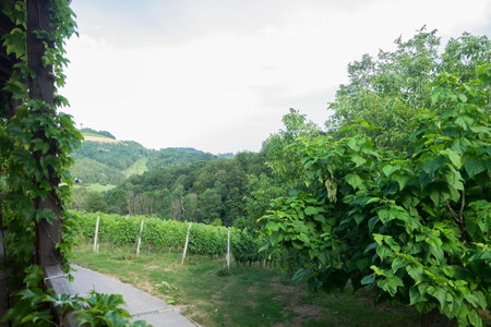 Turistična kmetija Vrezner Apartment, Maribor, Slovenia
