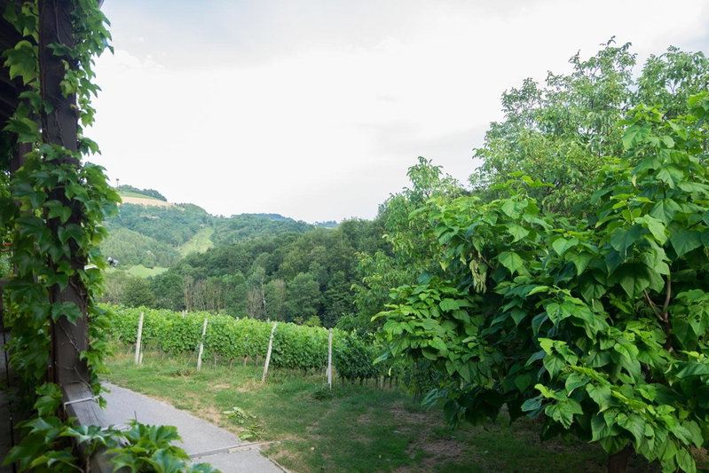 Turistična kmetija Vrezner Apartment, Maribor, Slovenia