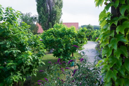 Turistična kmetija Vrezner Apartment, Maribor, Slovenia