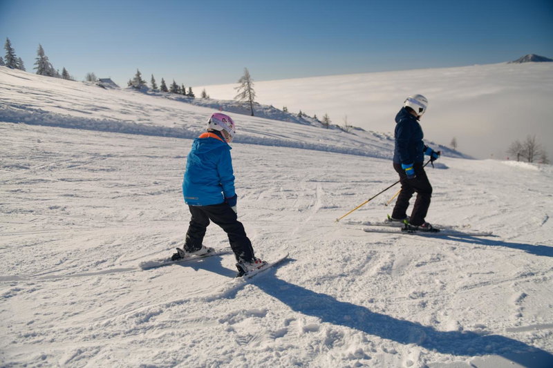 Chalet Košutnik Velika planina, Kamniška Bistrica, Slovenia