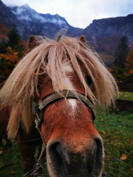 Skalca, Kamniška Bistrica, Slovenia
