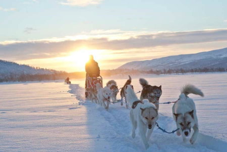 Guesthouse / Huskyfarm Innset, Innset, Norway