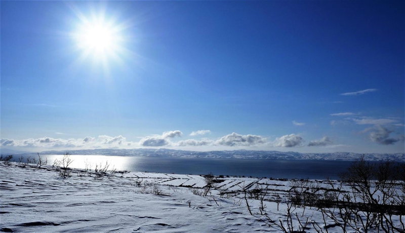 Varangertunet bed & breakfast, Jakobselv, Norway