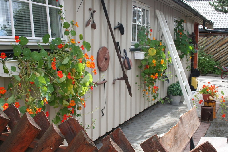 Vertshuset Fannarheimr, Orkland, Norway