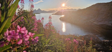 Heimbrygga Restaurant & Accommodation, Skrova, Norway