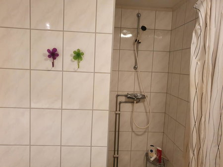 Bårdshaug Studio Apartment, Orkanger, Norway
