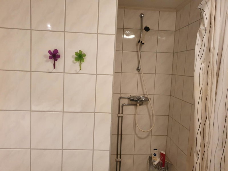 Bårdshaug Studio Apartment, Orkanger, Norway