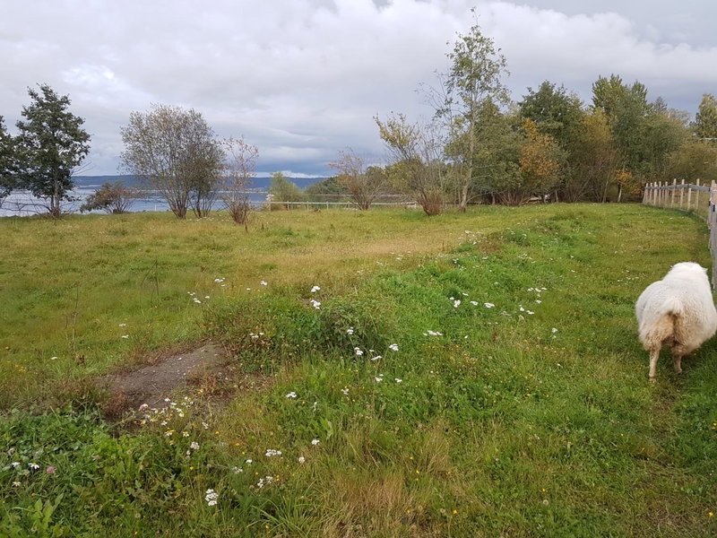 Idylliske Evjua ved Mjøsa, Skreia, Norway