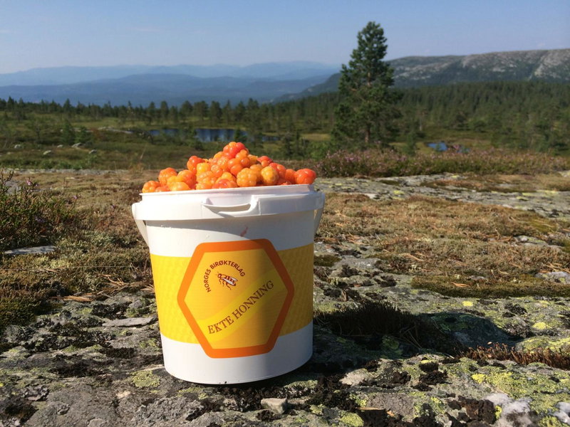 Bolkesjø Gaard, Notodden, Norwegen