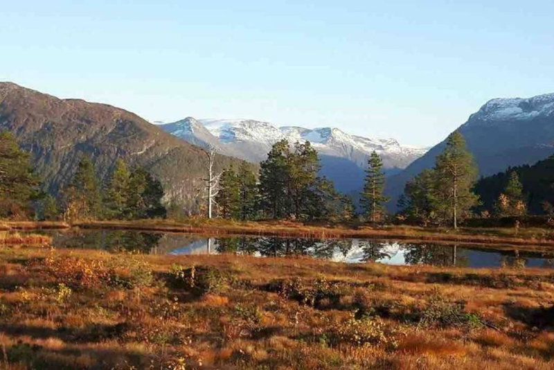 Hytte i Stryn med elbil lader, Stryn, Norway