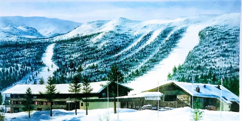 Hallingskarvet Fjellstue as, Hovet, Noruega