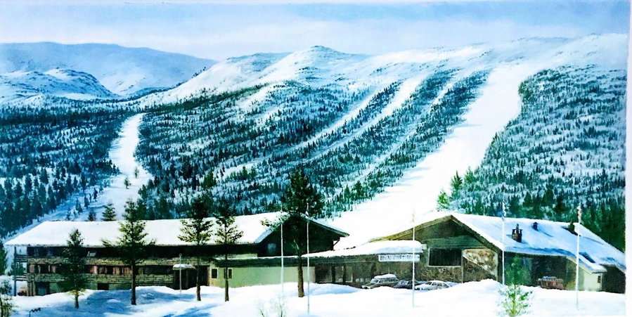 Hallingskarvet Fjellstue as, Hovet, Noruega