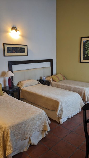 Delvino Boutique Hotel, Salta, Argentina