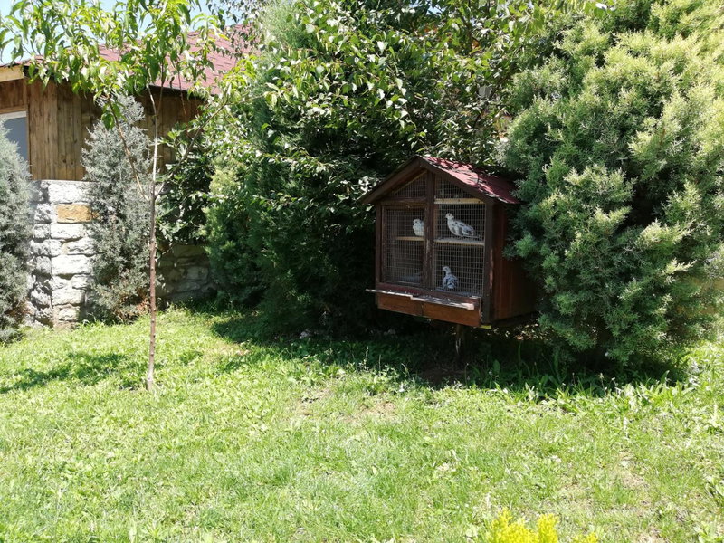 Hotel My House, Kŭrdzhali, Bulgarie