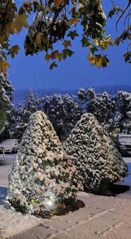 Park Hotel Amfora -Free Parking, Sofia, Болгария