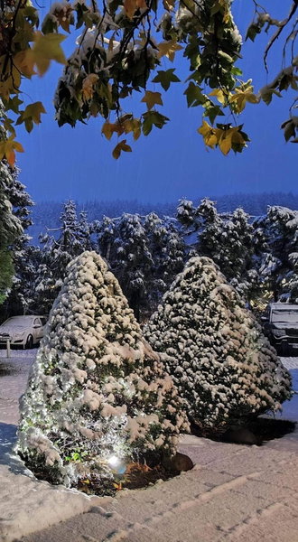 Park Hotel Amfora -Free Parking, Sofia, Болгария