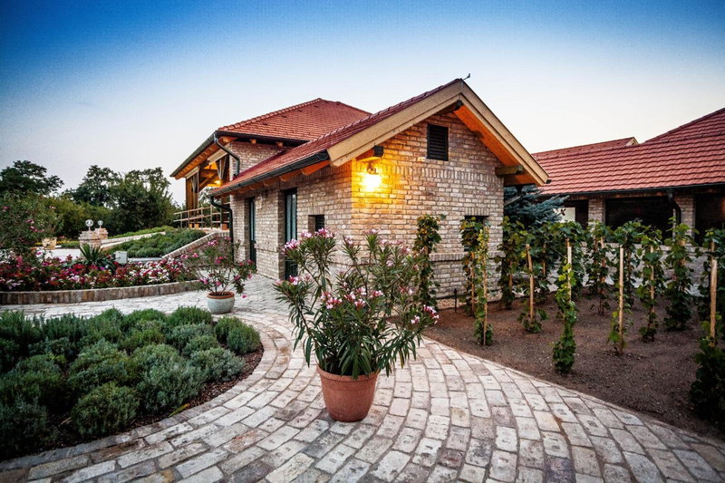 BÉNI family wine farm, Cegled, Hungary