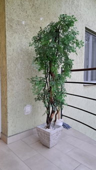 Eper Apartman, Szeged, Венгрия