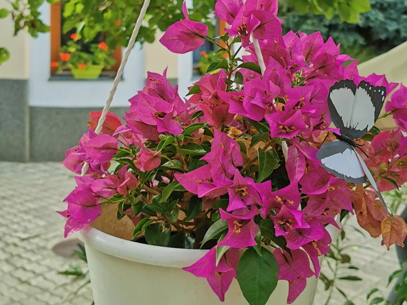 Strigonia Apartman, Esztergom, Hungría