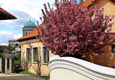 Strigonia Apartman, Esztergom, Hungría