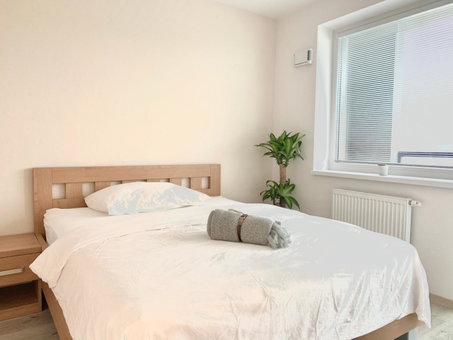 Elegant, bright spacious apartment in Bratislava center, Bratislava, Slovaquie