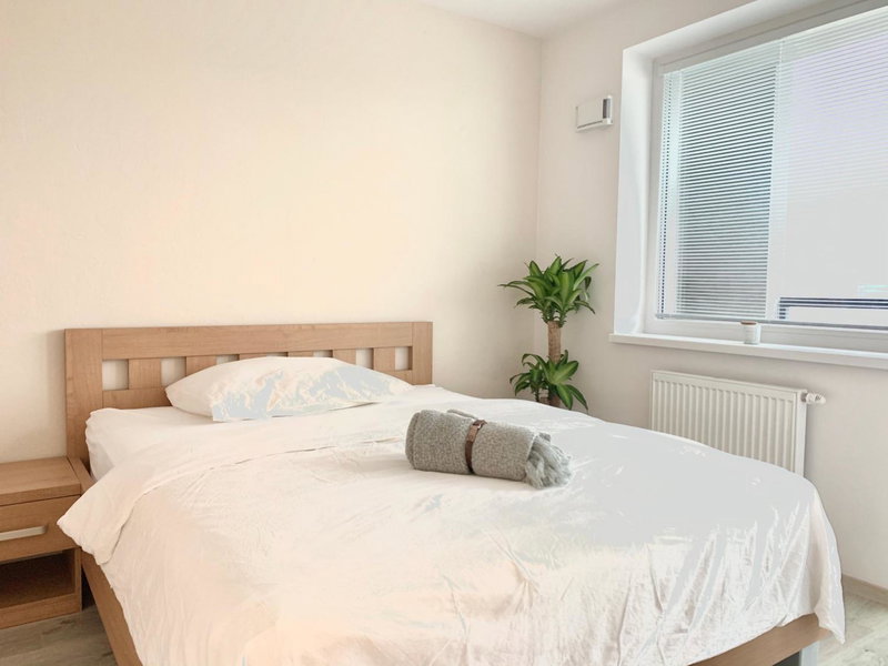 Elegant, bright spacious apartment in Bratislava center, Bratislava, Eslovaquia
