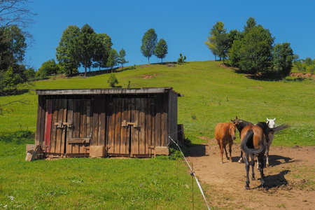 Farma Javor, Horná Lehota, Slovakia