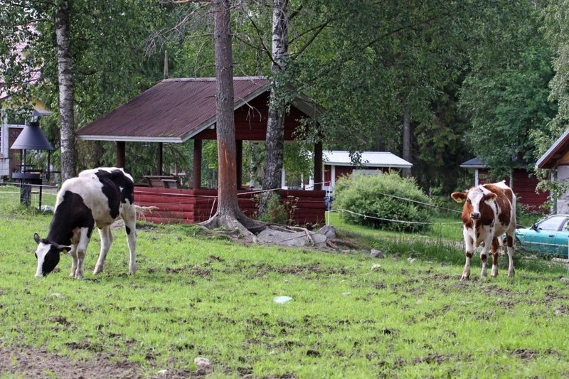 Mäkelän Lomatuvat Bed and Breakfast, Hyytiälä, Finland