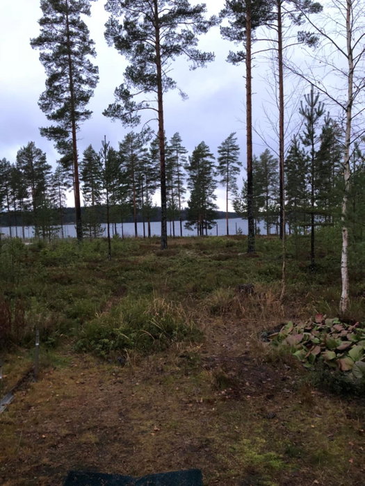 Joutiaisentie I 55 Forest apartment, Joutsa, Finland