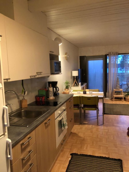 Joutiaisentie I 55 Forest apartment, Joutsa, Finland