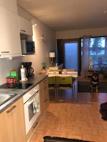 Joutiaisentie I 55 Forest apartment, Joutsa, Finland
