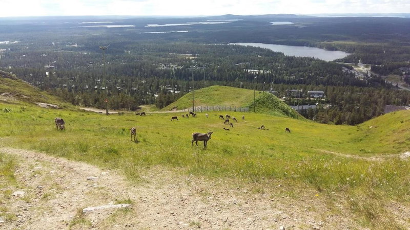 Rukan Ukkoteeri 1 & 2, Ruka, Finland