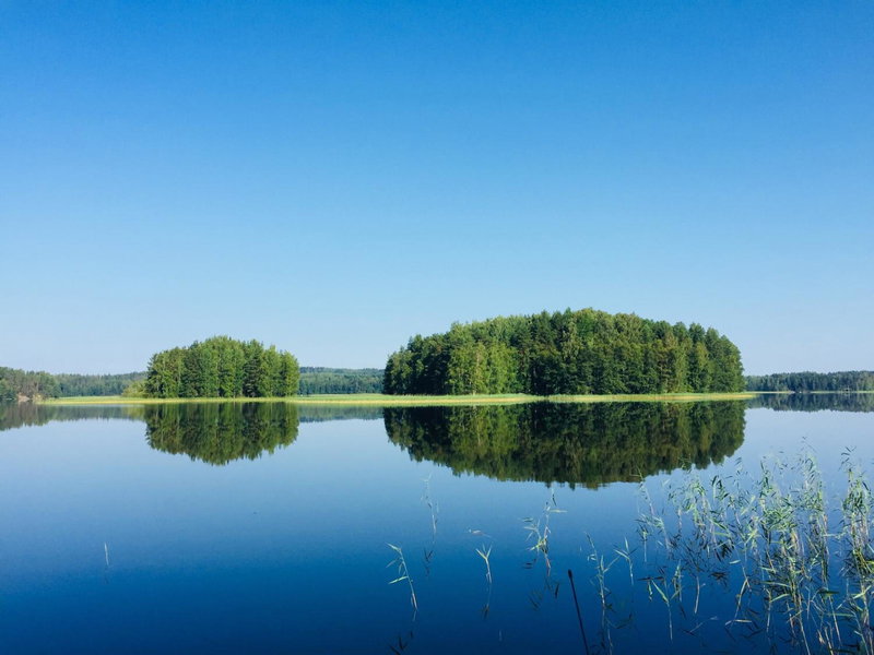 Ollinmäki Vineyard, Mikkeli, Finland