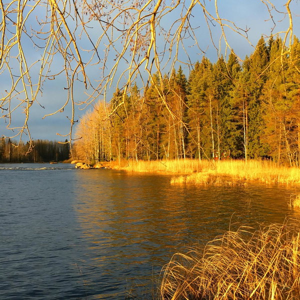 Laawu Kultaa, Kotka, Финляндия