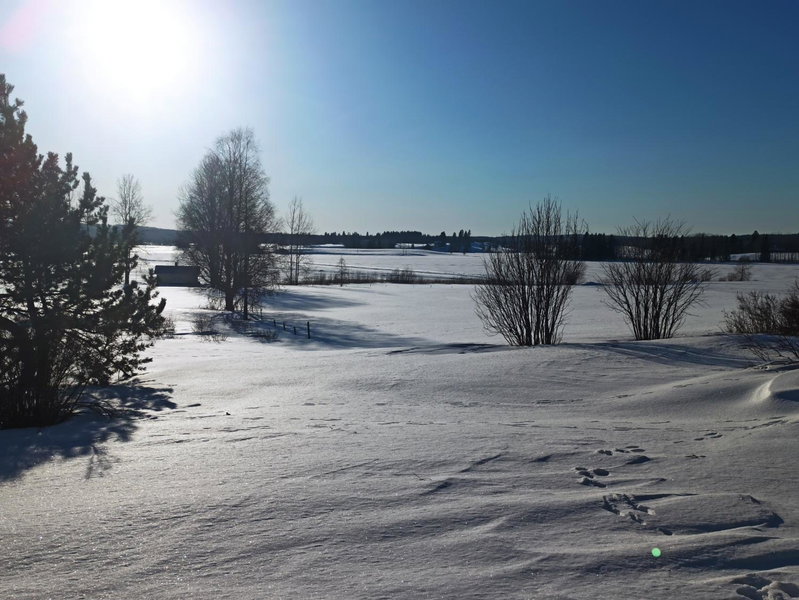 Laukkumäki farm, Iisalmi, Finlande
