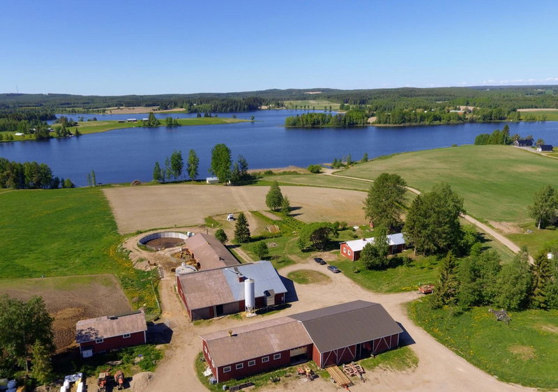 Laukkumäki farm, Iisalmi, Finlande