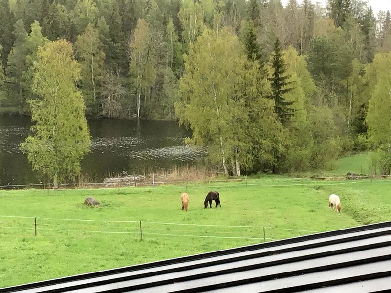 Purola Farm Guesthouse, Saarijärvi, Finland