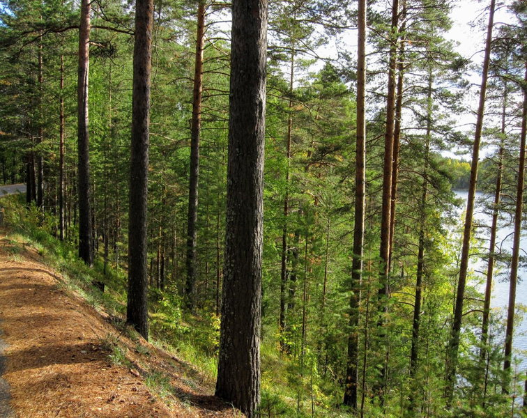 Pankkotupa Yrjo, Punkaharju, Finlandia