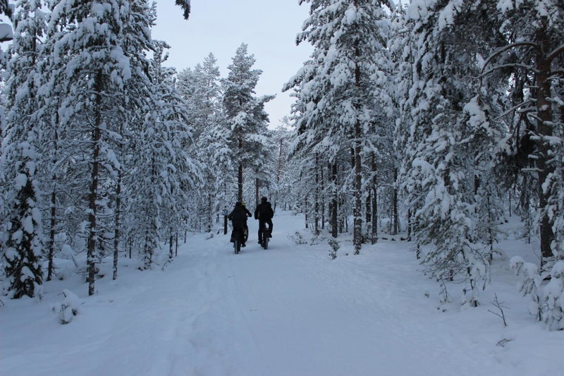 Studio Kaarto, Rovaniemi, Finland