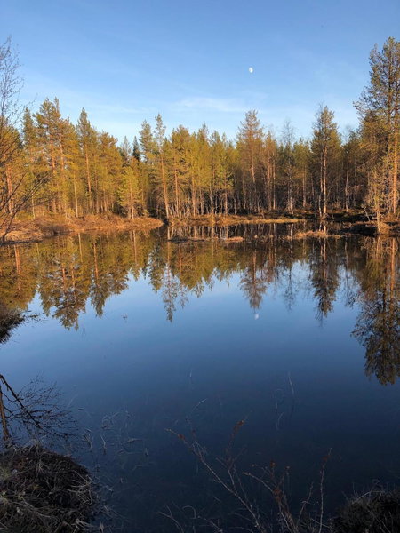 Villa Kelotupa, Hossa, Finland