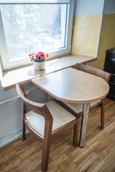 Modern 2-room flat in the city center, Siauliai, Lithuania