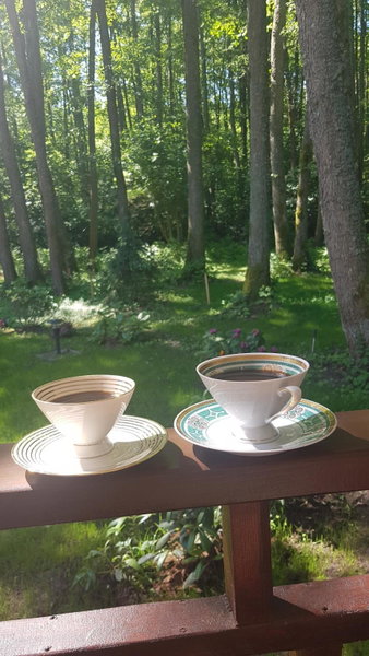 Namelis nr 2 Adelės sodyba, Muižė, Lithuania