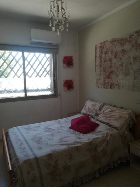 Golden sunshine, Paralimni, Кипр