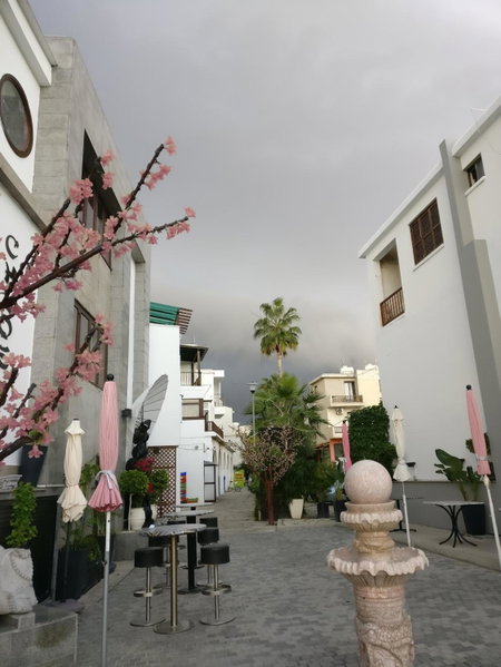 Paradise Garden, Paphos City, Кипр